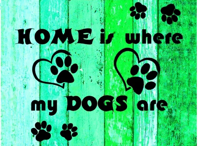 HTB1.5_fmMmTBuNjy1Xbq6yMrVXa1