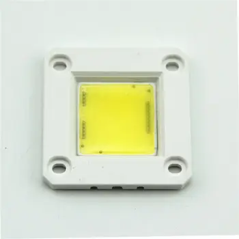 

IC Integrated COB LED Module Chip 20W 30W 50W 220V Input No Driver For DIY Cold Warm White LED Spotlight Outdoor Floodlights