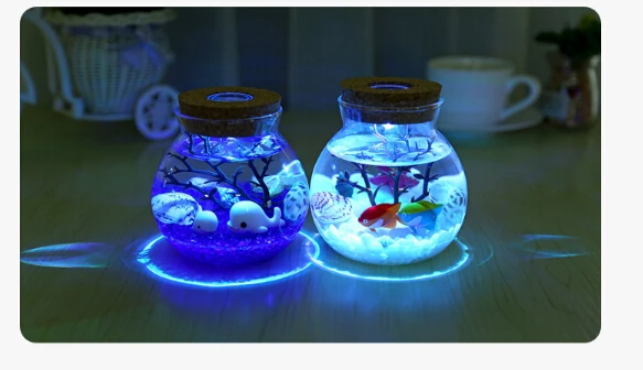 Novelty RGB LED Night Lamp Ocean DIY Fish Stone Bottle Shape Nights Light6