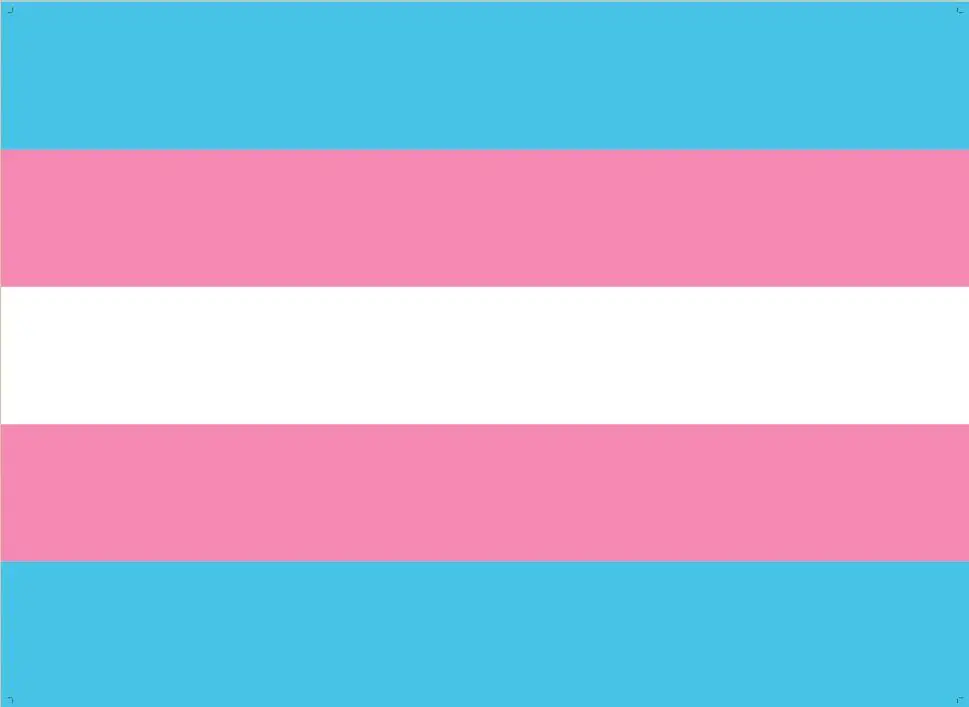 Pink White Black Gay Flag Mserlcanadian