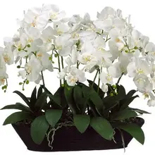 Индиго-цветок Аранжировка 12 шт. орхидеи+ 10 шт. листья реальный сенсорный цветок свадебный цветок декоративное событие цветок