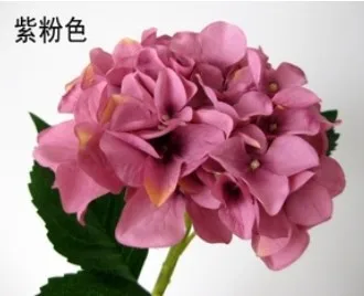 purplish pink