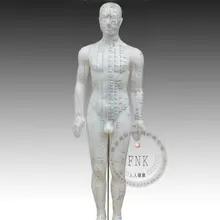 Медицинское обучение поставка человеческого тела Акупунктура точка модель 50 см модель тела Меридиан модель