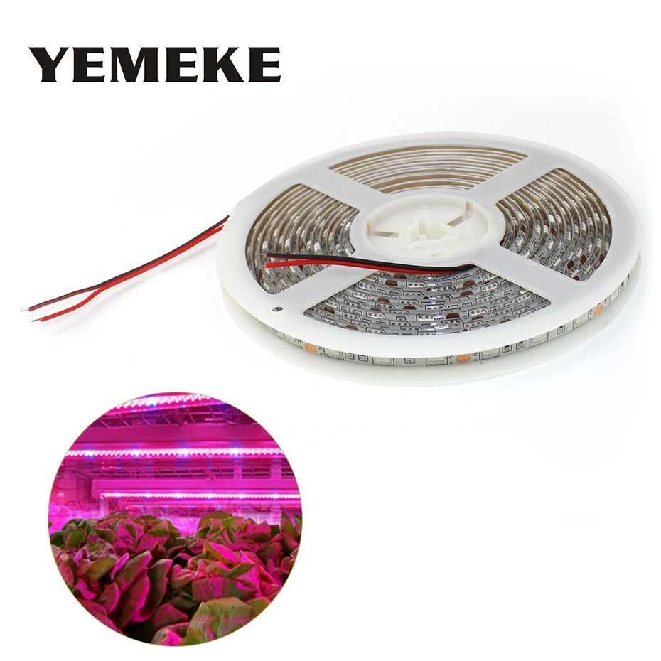 

DC 12V Growing Lamp 36W Full Spectrum Led Grow Light 5M Led Strip Light 5050 Phyto Lamp Plant Growth Lamps For Hydroponic