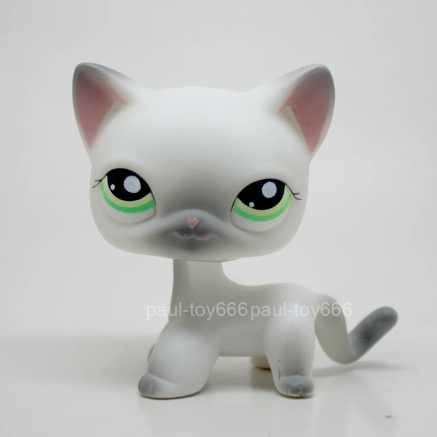 

#125 Rare Little Pet Gray Short Hair Cat Kitty Green Eye Pink Ears