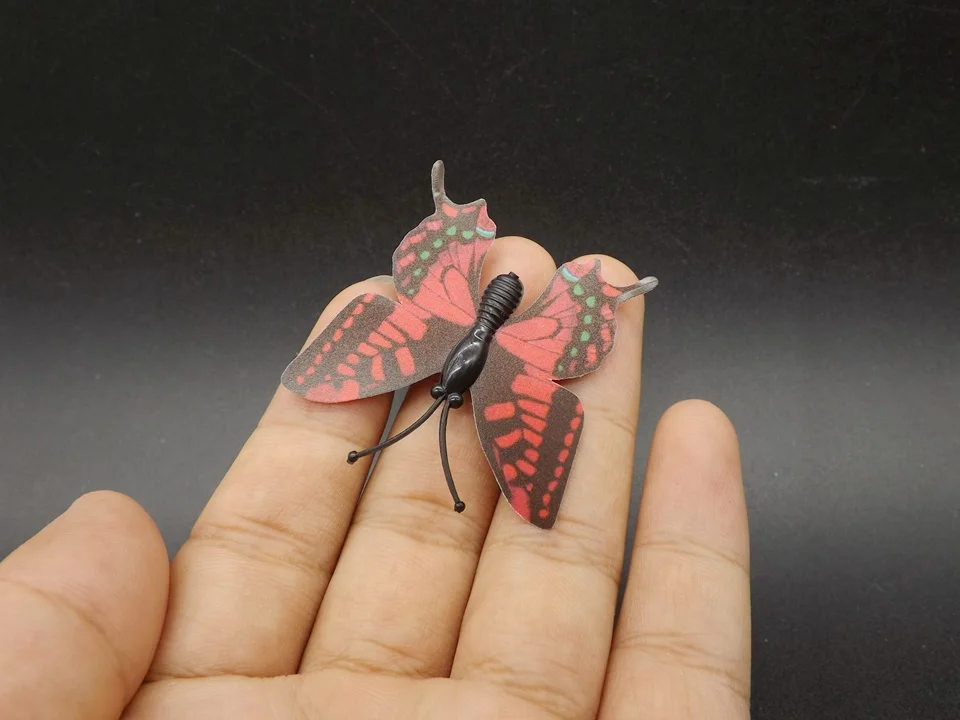 I245-Butterfly (3)