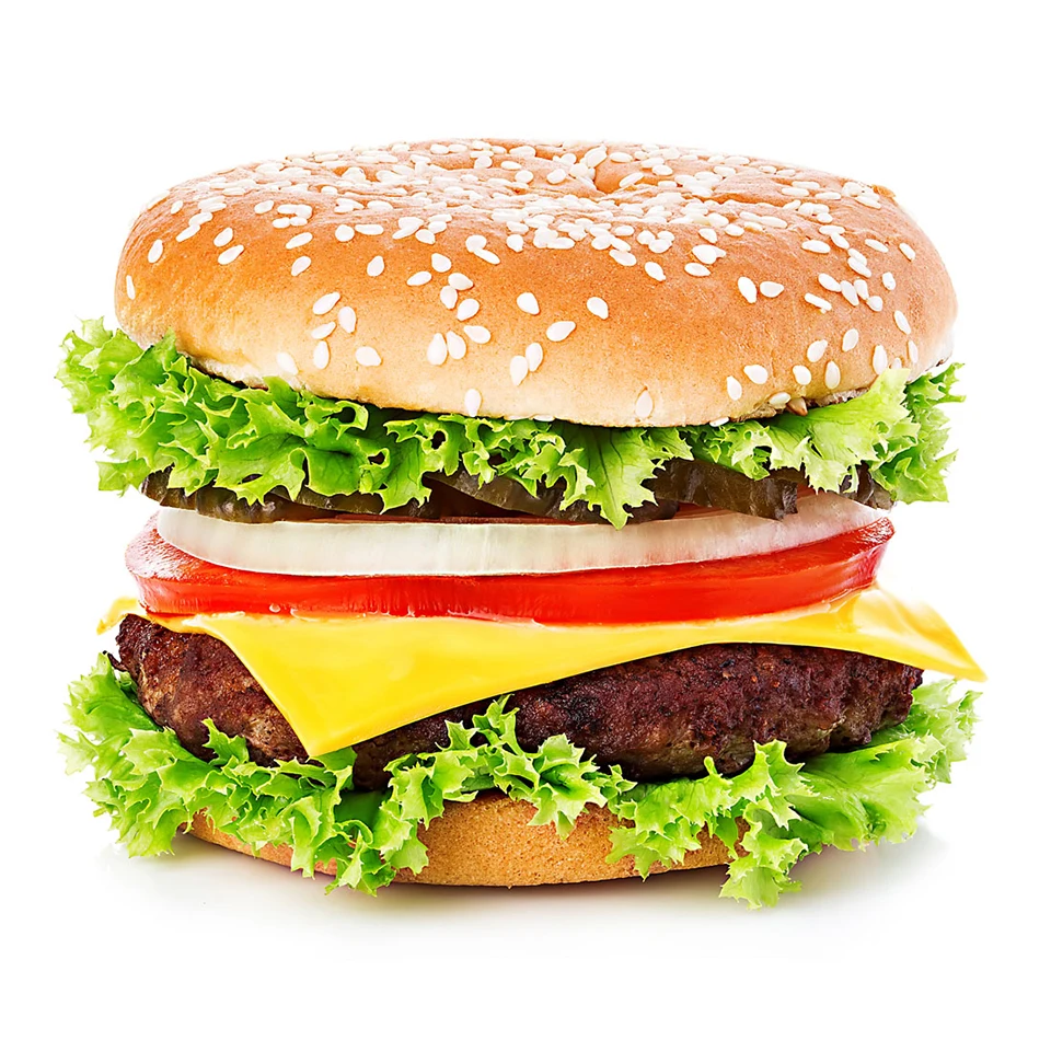 Hamburger Meat Press  (1)