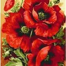 Высокое качество с большими красными цветами напечатаны DIY Цифровая картина маслом по номерам ручная роспись маслом 40x50 см без рамки