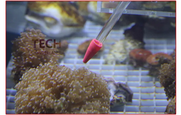 Новая акриловая кормушка для кораллов аквариума 55 см/35 см|coral feed|aquarium feederaquarium feeding