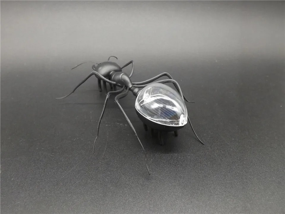 Solar-Ant-Black   (4)