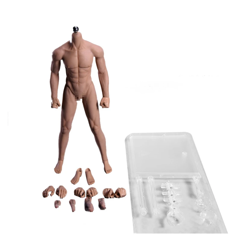 1/6 Scale 12''Ultra Flexible Muscular Male Seamless Body Stainlee Steel Skeleton Rubber Human-like Skin Bodies for 1/6 Head - Цвет: Wheaten Skin