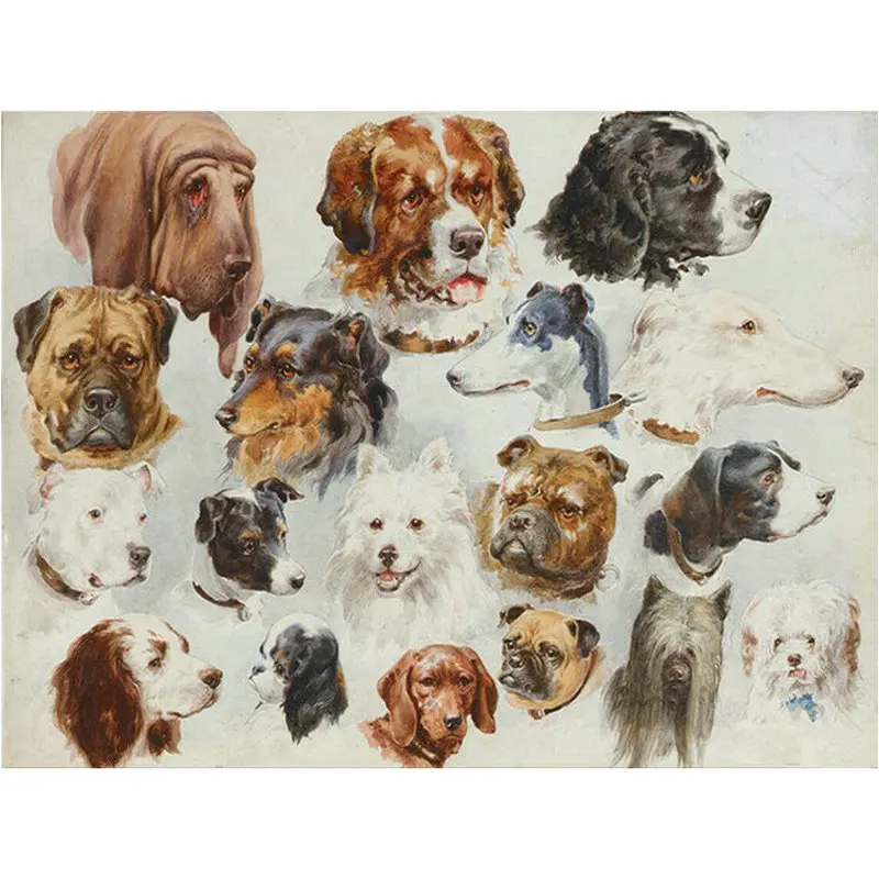 Needlework 5d diy diamond painting cross stitch kits Dog head Stickers square drill full embroidery pattern home decor | Дом и сад