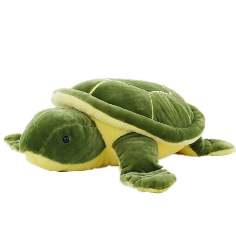 plush turtle toy