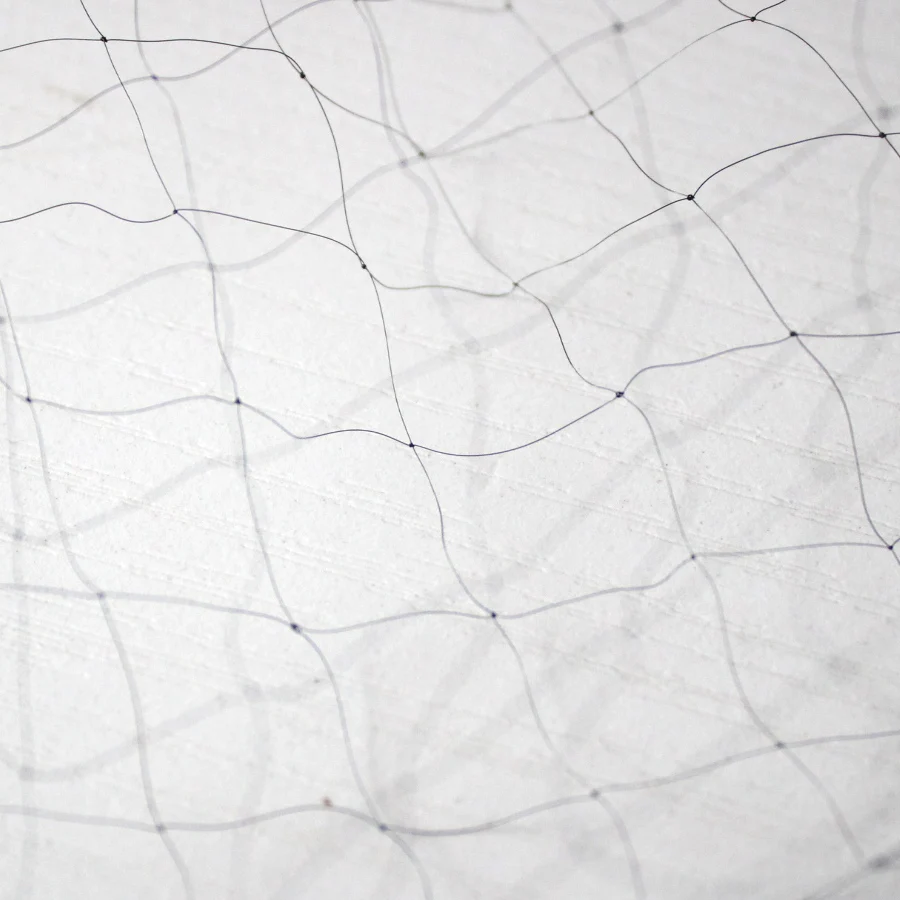 High Quality Deep Pockets Nylon monofilament 0.08mm 12M x 2.4M 15mm Hole Orchard Garden Anti Bird Net Knotted Mist Net 1pcs