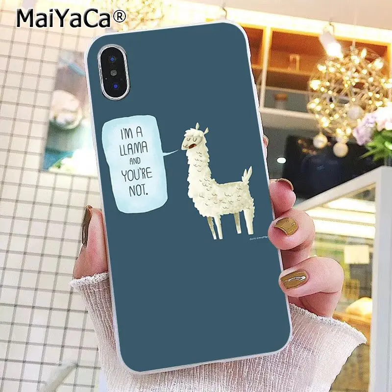 Lama Llama Alpacas Animal