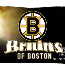 Лучшие наволочки на заказ Boston broin молния на прямоугольную наволочку 35x45 см(с одной стороны)@ 180117-85