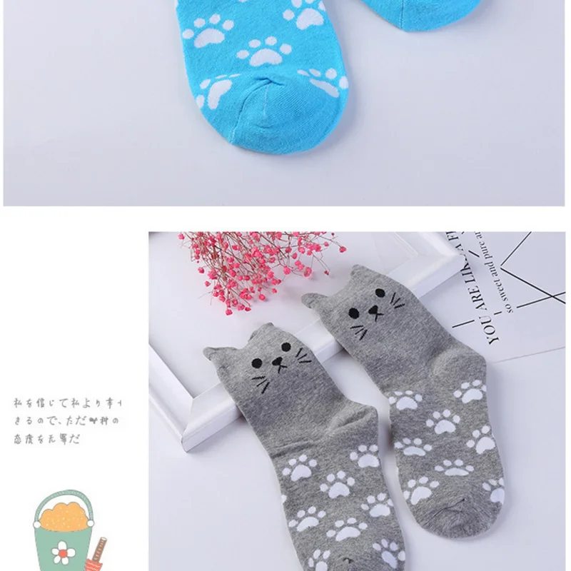 Sock (6)