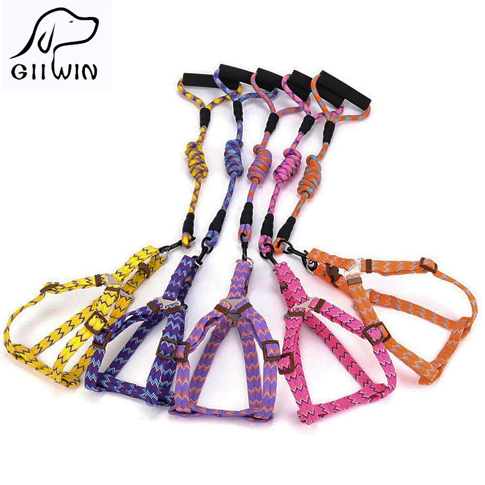 

[GIIWIN]Dog leash collar pet harness for large and small dogs pet products leashes for pets dog accessories k9 dog collar PY0246