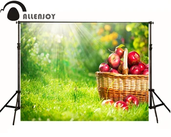 

Allenjoy photographic background Grass baskets fruit light kids boy princess photo studio