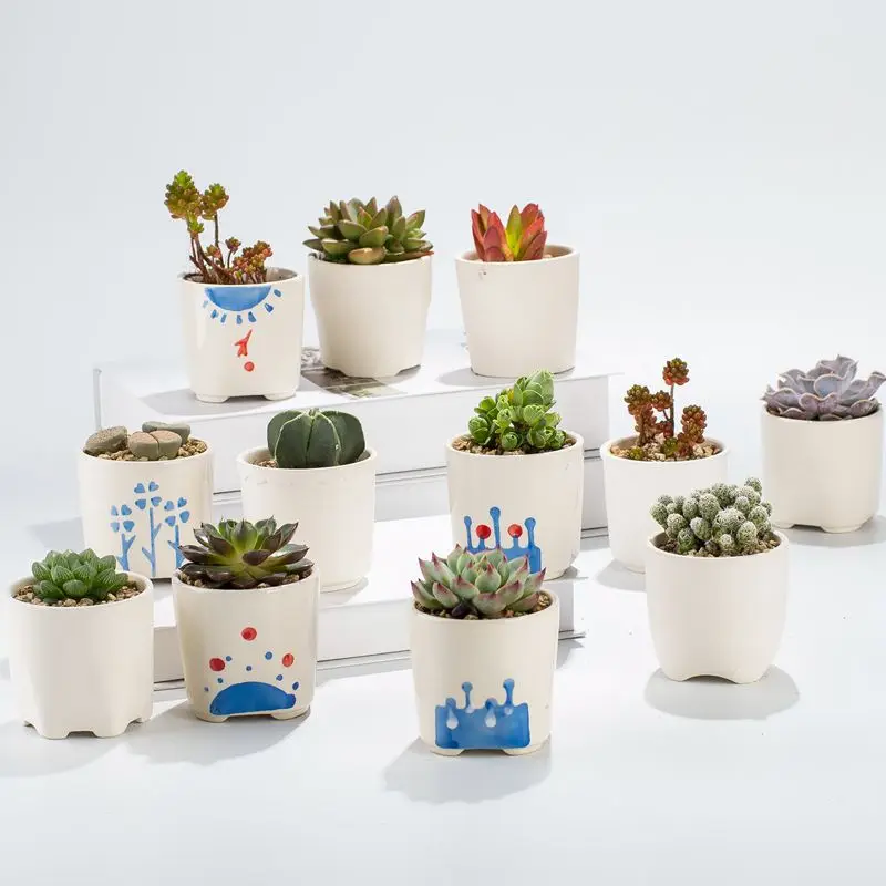 Simple Creative Personality Japanese Small Succulent Flower Pot Ceramic