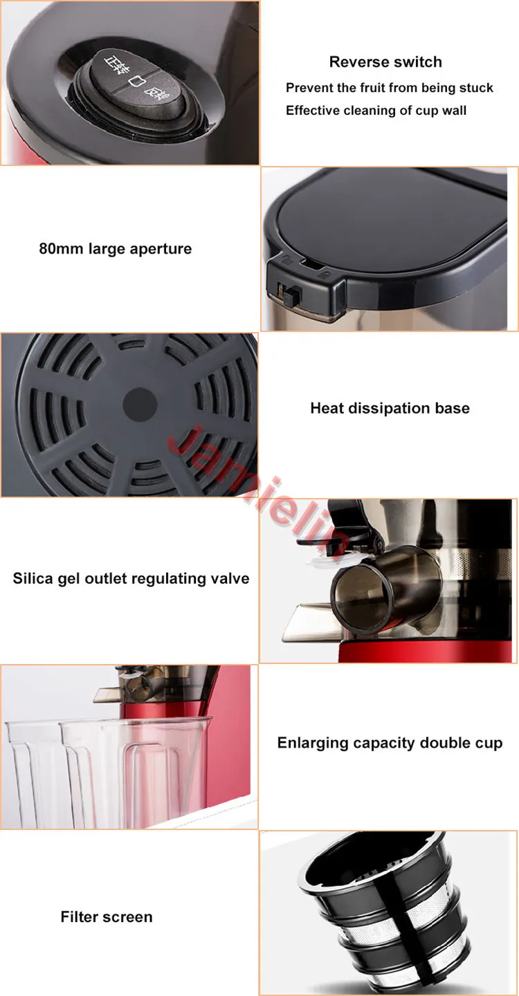 fruit juicer details