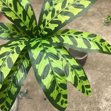 10 листьев павлина листья растения бонсай искусственная пластмассовая трава Забор Открытый завод стены травы украшения