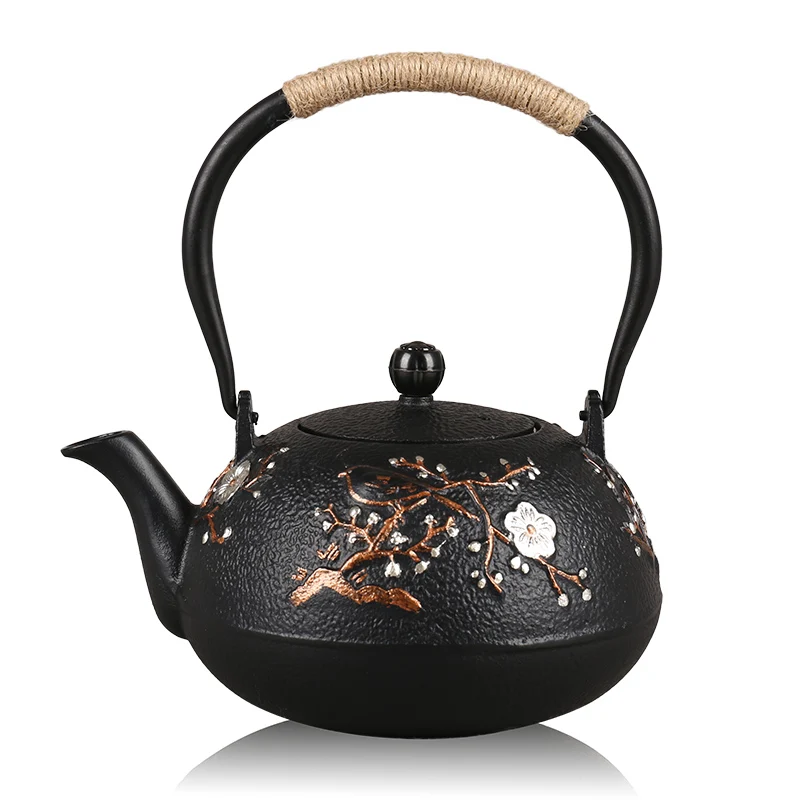 Cast Iron Tea Pot Japanese Teapot Tetsubin Kettle Drinkware Kungfu