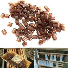 240 шт. инструменты для пчеловодства королевские клетки коричневые пчелиные чашки инструменты для кормления apculture применимые к пчеловодам пчелиные клетки чашки комплект queen