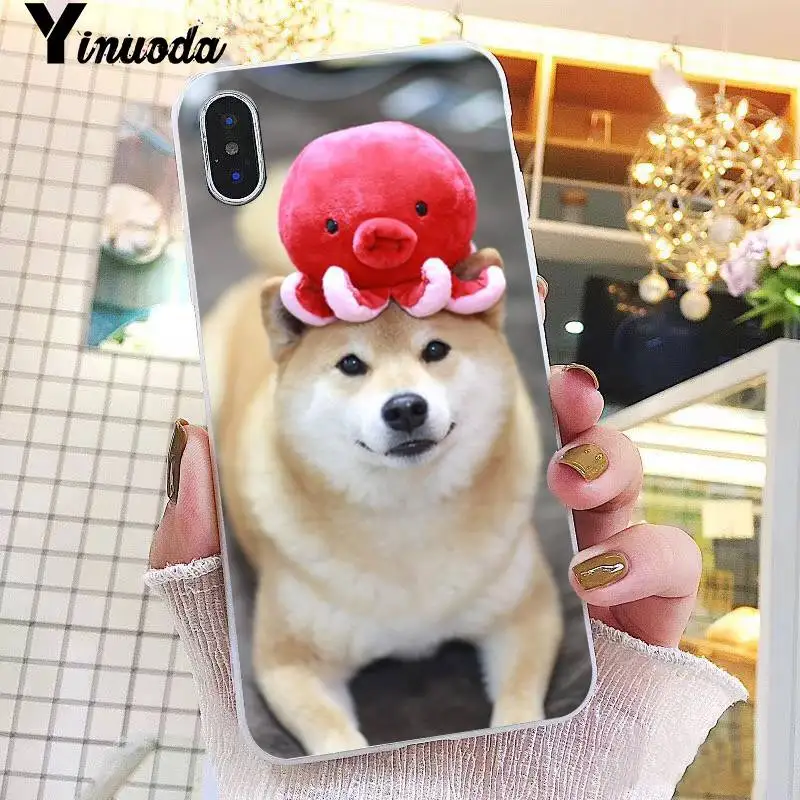 Animal Shiba Inu DIY Painted Beautiful