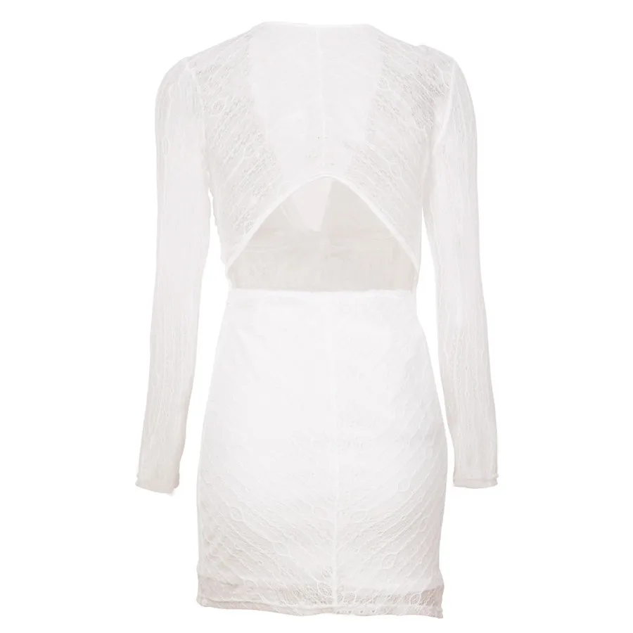 Gladiolus Lace Spring Autumn Dress Women 2019 Long Sleeve Deep V-Neck Hollow Out Mini Women Party Dress Ladies Sexy Club Dresses (20)