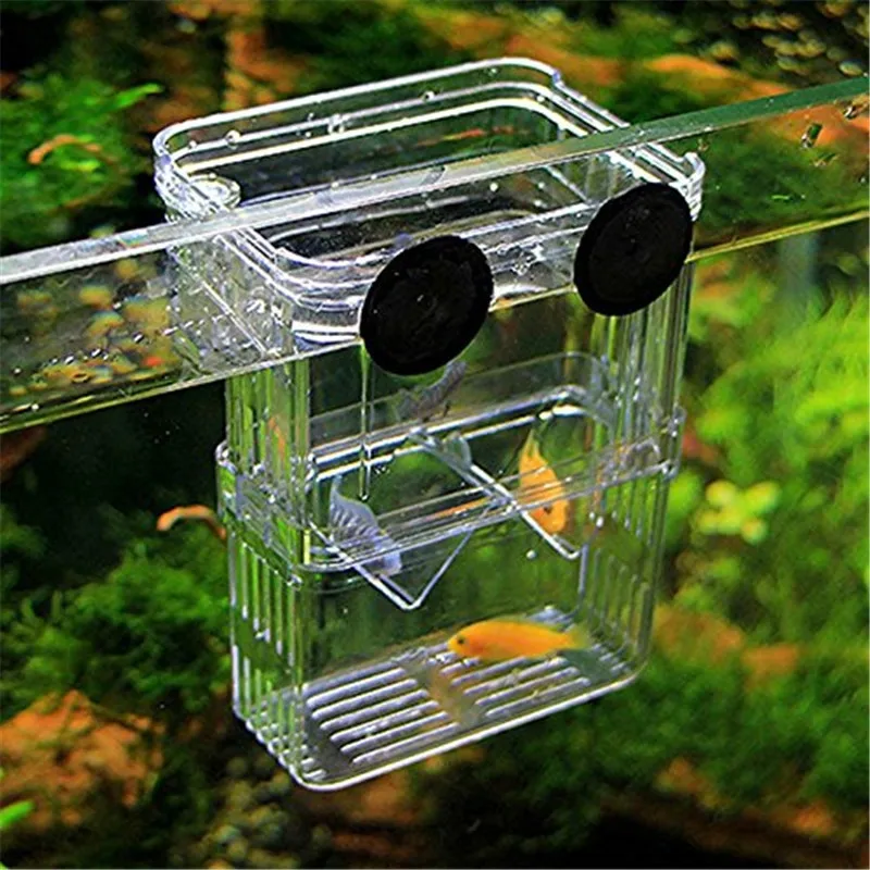 Aquarium Acrylic Fish Breeding Isolation Box Fish Bowls Fish Tank Baby Fish Hatchery Rooms Incubator Reptile Cage with Sucker