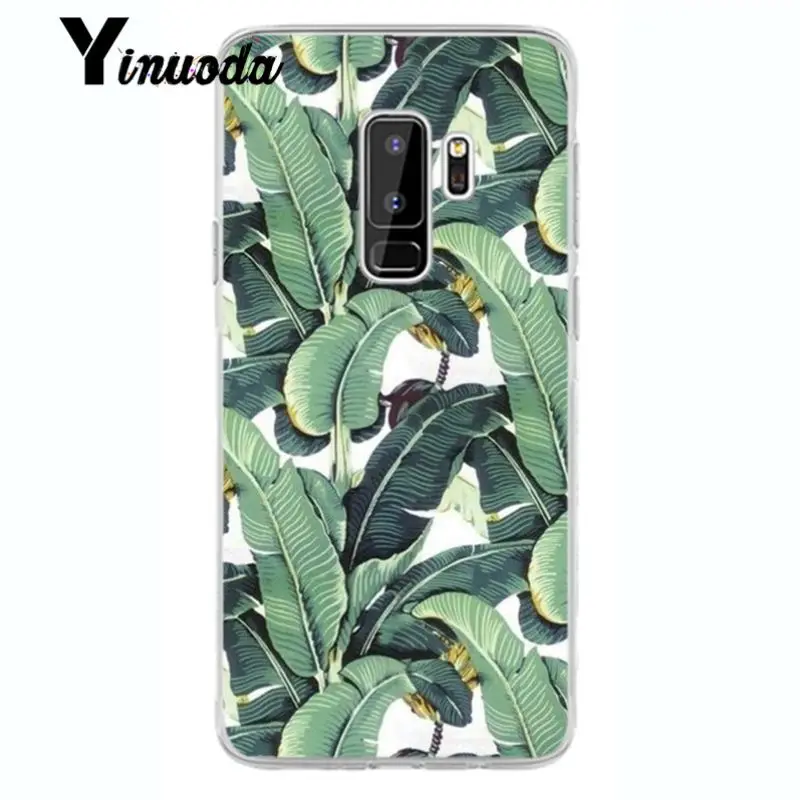 Flower Cherry Tree Candy Colors Leaves 