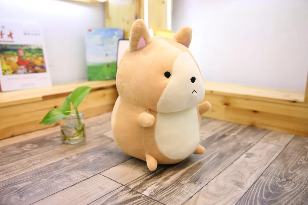 9057424967_526651954