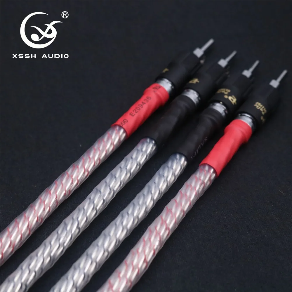 bi wire 06