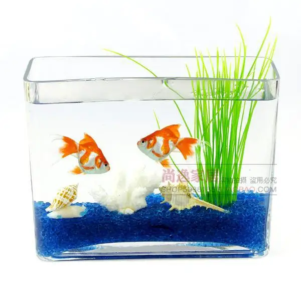 rectangular fish bowl