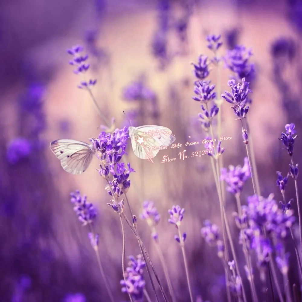 Online kopen wholesale vlinder lavendel uit china vlinder lavendel ...