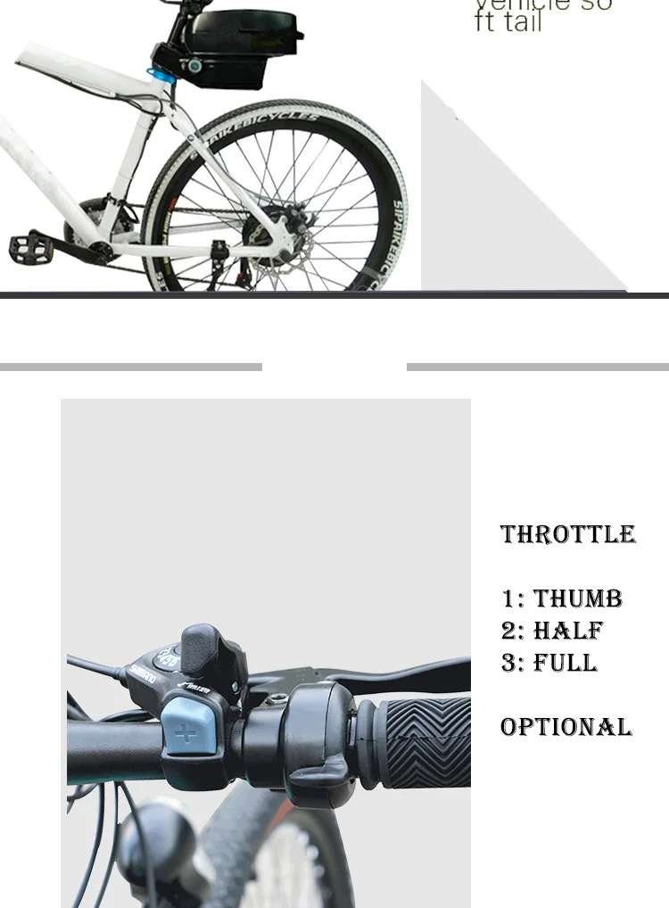 electric bike kit  (1)