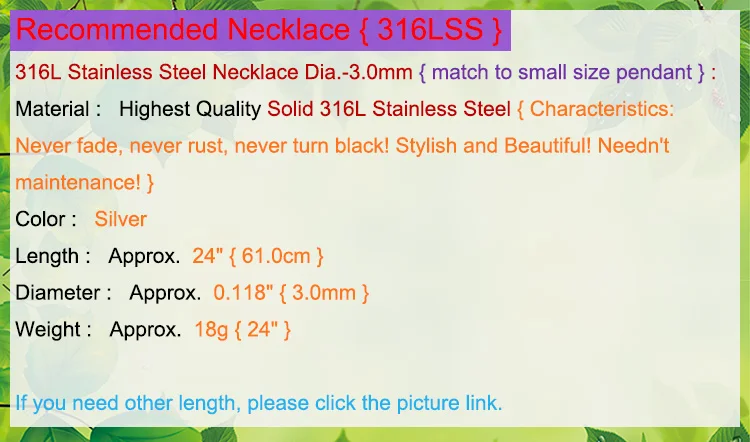 NR316LSS3.0