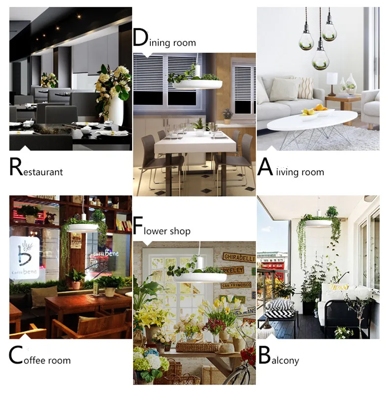 TB2A1ckXU5O.eBjSZFxXXaaJFXa_!!1707444029