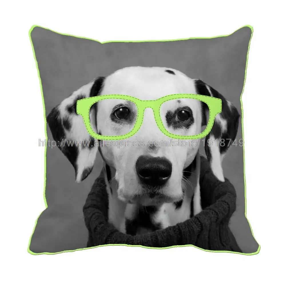 cute white and black spotty dog wear green glasses printed grey