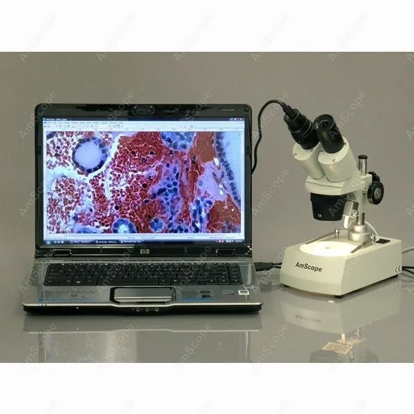 Аккумуляторный СВЕТОДИОДНЫЙ стерео микроскоп поставка AmScope аккумуляторный