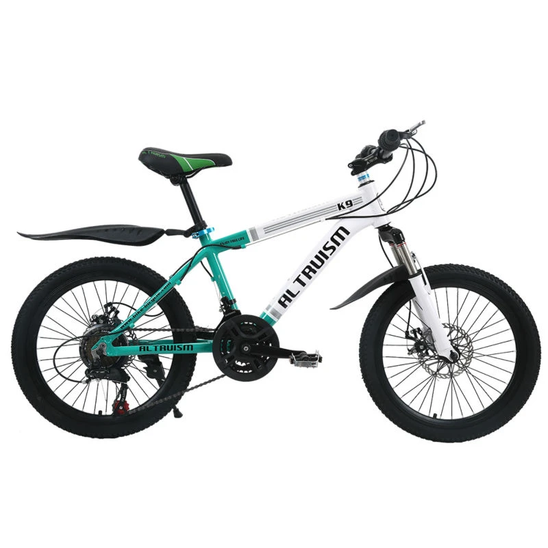 girls blue mountain bike