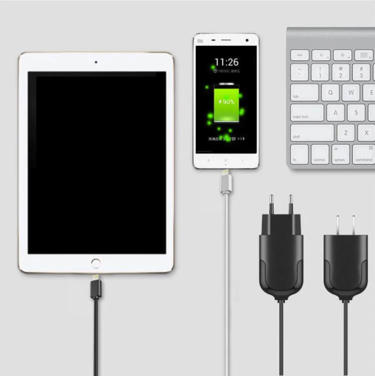 Горячие 10 Вт 2.1A дома зарядное устройство Быстрая зарядка USB адаптер новая модель мини-размер зарядное устройство с кабелем ЕС шнур нами для ipad iPhone samsung