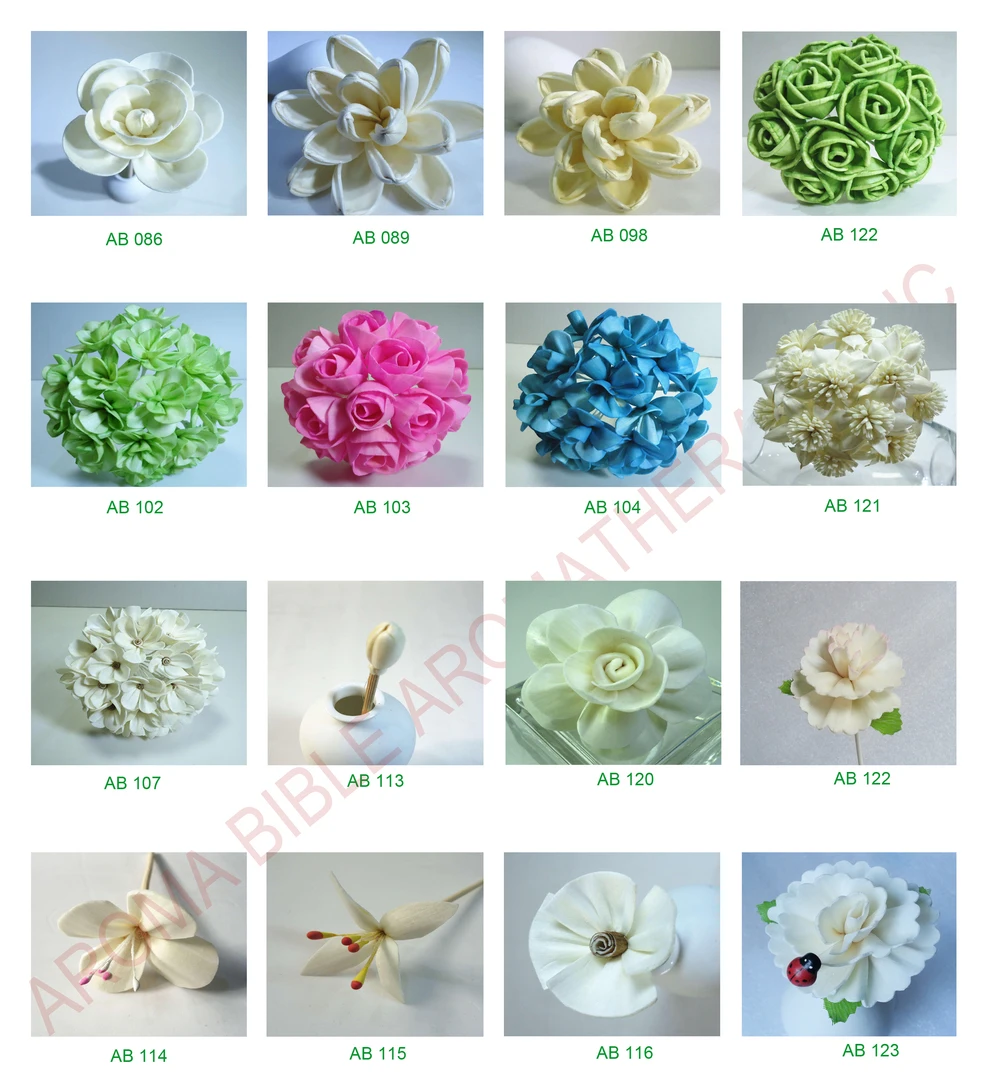 Sola flower group 4.jpg
