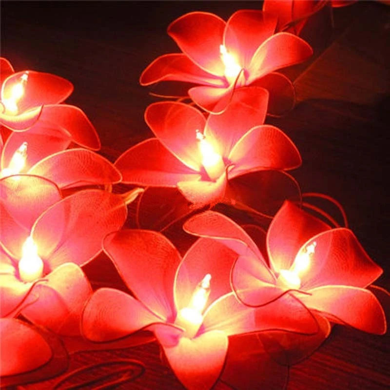 20 unids Tailandia Tela de Franela Estrella Luces de Navidad Luces de Hadas de la Secuencia de la Navidad Decoración de La Boda Luminaria Guirlande Guirnalda 20 unids Tailandia Tela de Franela Estrella Luces de Navidad Luces de Hadas de la Secuencia de la Navidad Decoración de La Boda Luminaria Guirlande Guirnalda