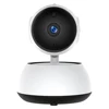 Video Surveillance