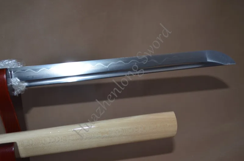 conew_dsc_0073
