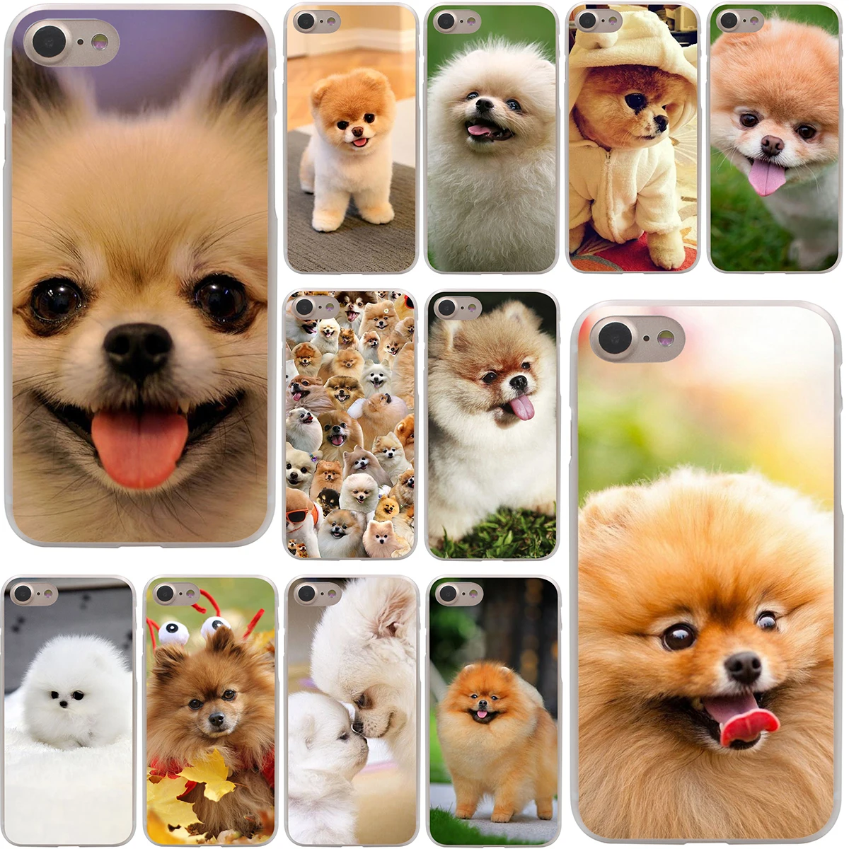 cheap pomeranians get cheap pomeranian aliexpress alibaba cheap pomeranians get cheap pomeranian aliexpress alibaba