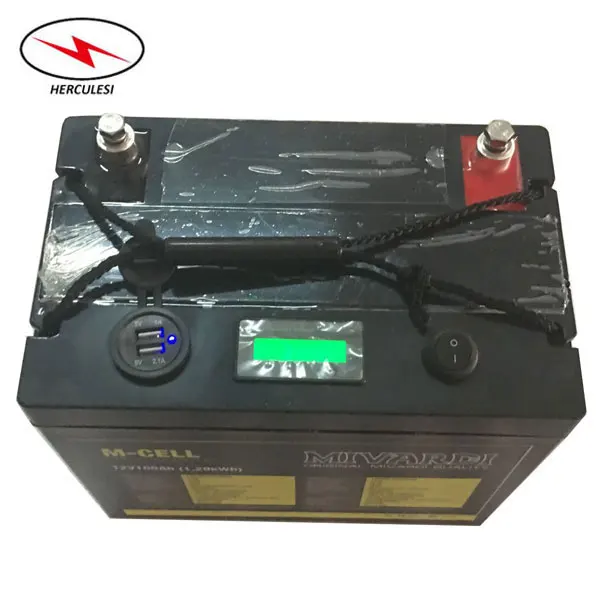 Глубокий цикл Recargable Litio Batterie 12 V 100Ah литий-ионный аккумулятор с usb-портами+ уровень питания+ переключатель включения/выключения