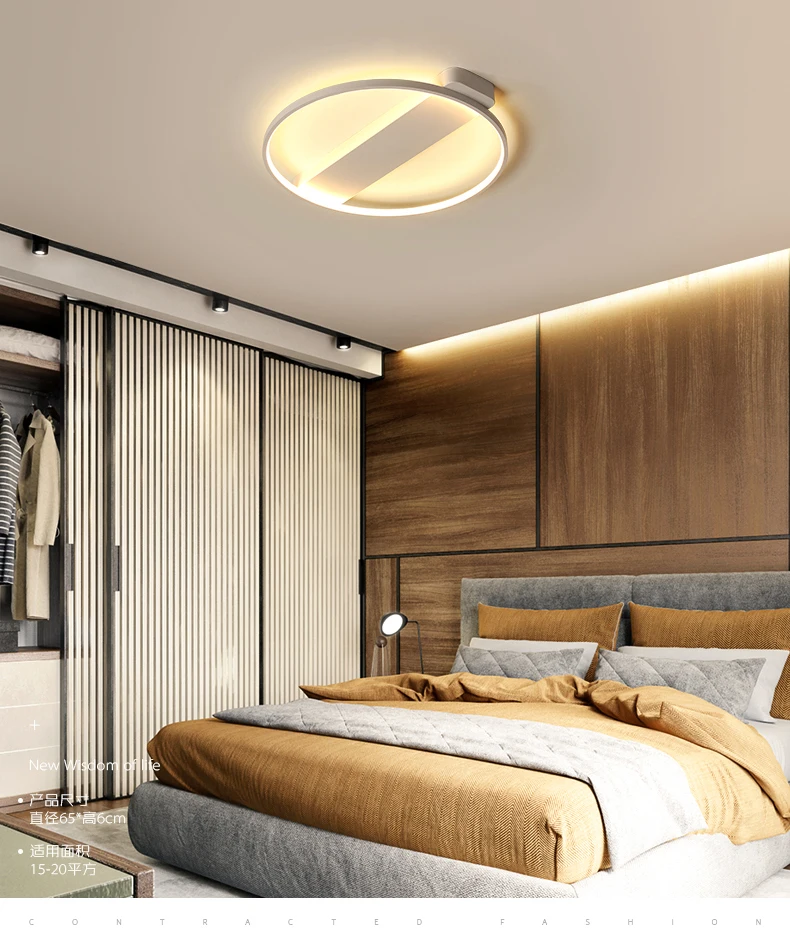 modern led lamp ceiling light fixtures 3